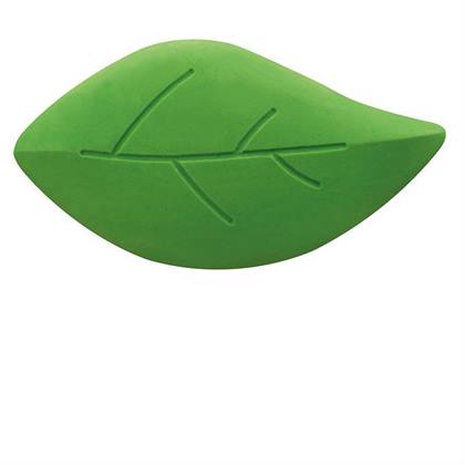 Bio silgi